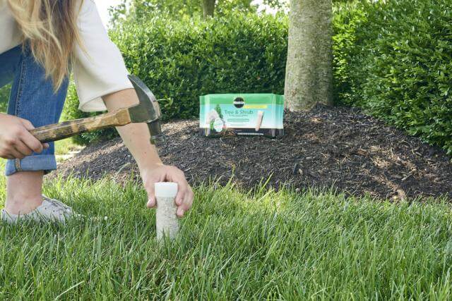 Miracle-Gro® Tree & Shrub Plant Food Spikes - Farmersville, TX