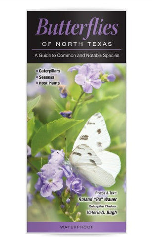 Butterflies of North Texas