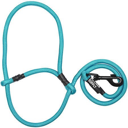 Sullivan Supply Sheep & Goat Halter w/ Snap Lead