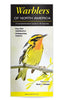Warblers of North America