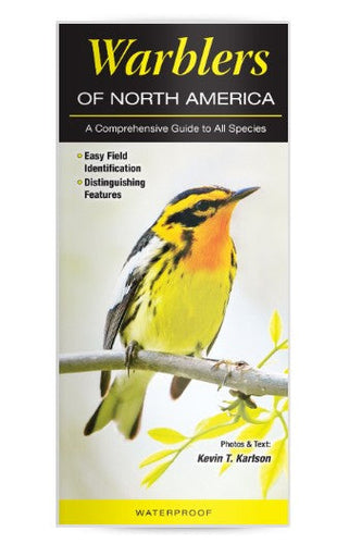 Warblers of North America