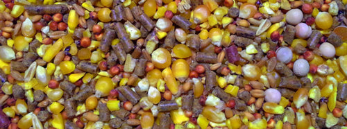 Bluebonnet Poultry Conditioner 16%