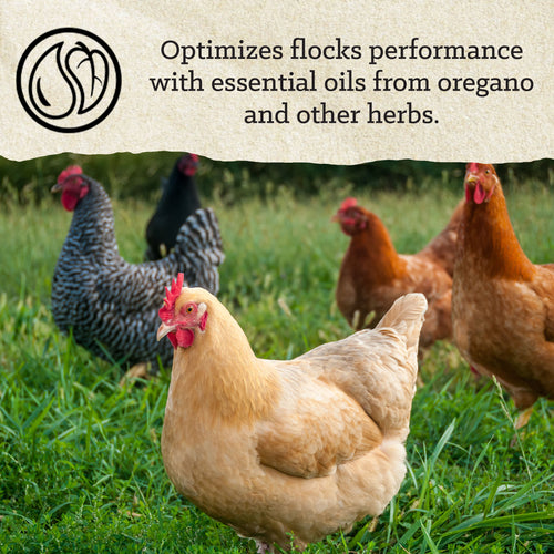 Nutrena® NatureWise® All Flock 20% Protein Pellet