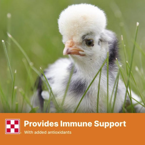 Purina® Start & Grow® Non-Medicated Chick Feed