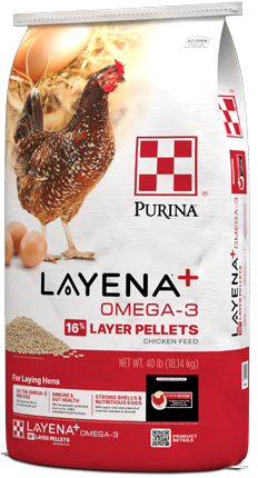 Purina® Layena® +Omega-3 16% Layer Hen Feed