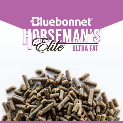 Bluebonnet Horseman's Elite® Ultra Fat
