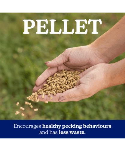 Nutrena NatureWise Feather Fixer 20% Protein Pellet