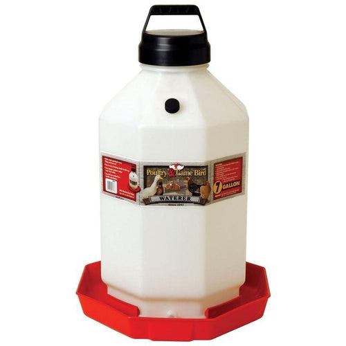 Little Giant Plastic Poultry Waterer