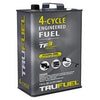 Premium Engine Fuel, 92 Octane, 4-Cycle, 110-oz.