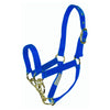 Hamilton Control Halter with Chain Blue