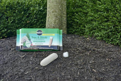plant spikes fertilizer Miracle-Gro® Tree & Shrub Plant Food Spikes - Farmersville, TX